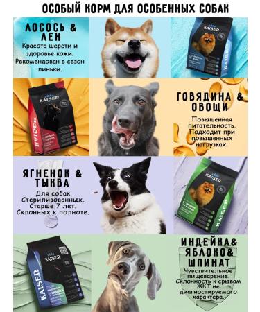 KAISER Dry food baked for dogs small with beef - 12 kg - Buy Online on GoSupps.com