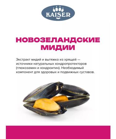 KAISER Dry food baked for dogs Breedersstarter 12kg - Buy Online on GoSupps.com