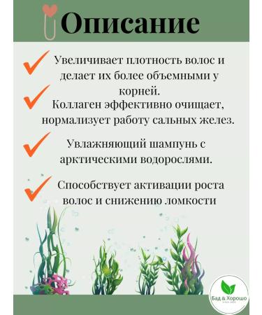 Health from Siberia Shampoo (moisturizing and volume) - Wellness Sea - Buy Online on GoSupps.com