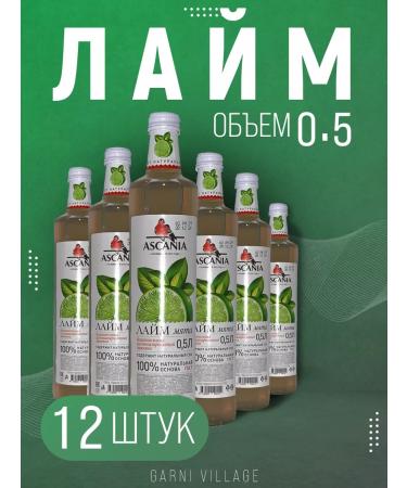 Ascania Lemonad Lime Mint 12 pcs