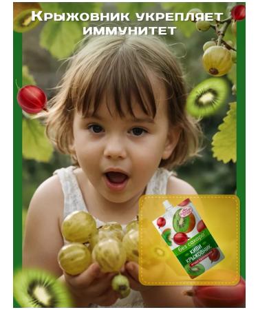 Siberian berry Waddled gooseberry kiwi without sugar 15 pcs - Buy Online on GoSupps.com