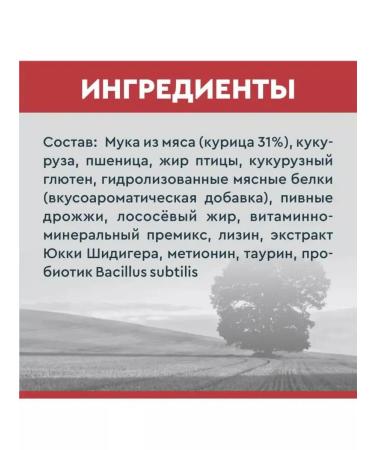 SECRET FOR PETS Dry food for cat Premium lamb 2 kg - Buy Online on GoSupps.com