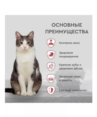 SECRET FOR PETS Dry food for cat Premium lamb 2 kg - Buy Online on GoSupps.com