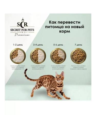 SECRET FOR PETS Dry food for cat Premium lamb 2 kg - Buy Online on GoSupps.com