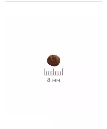 SECRET FOR PETS Dry food for cat Premium lamb 2 kg - Buy Online on GoSupps.com