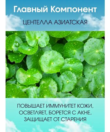 Thank You Farmer cosmetics Facial stick Sunny Sedding SPF 50+ - Buy Online on GoSupps.com