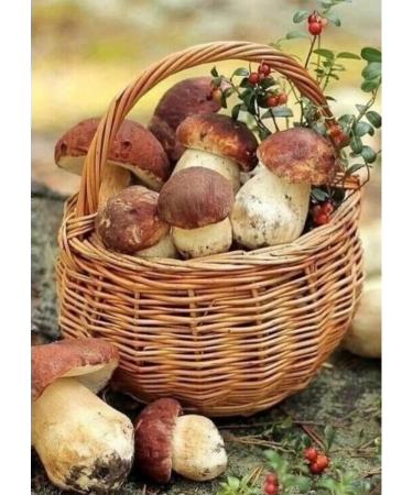 White pickled mushrooms 450 grams of holes - Buy Online on GoSupps.com