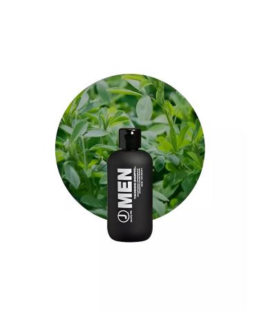 J BEVERLY HILLS Fliper Men Thickning Shampoo 350 ml shampoo - Buy Online on GoSupps.com