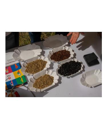 Specialtyru Coffee in grains arabica 100% Ethiopia of Gudzhi 1000 grams - Buy Online on GoSupps.com