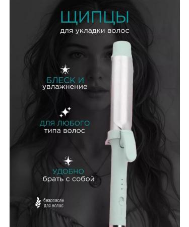 VGR Professional carrier for curling hair P-200G