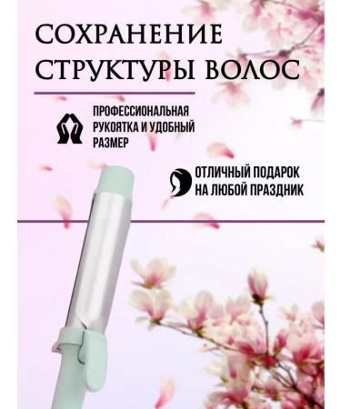 VGR Professional carrier for curling hair P-200G - Buy Online on GoSupps.com