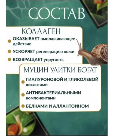 Enuka Cream-kushon tonal SS with mucin snail 02 tone - Buy Online on GoSupps.com