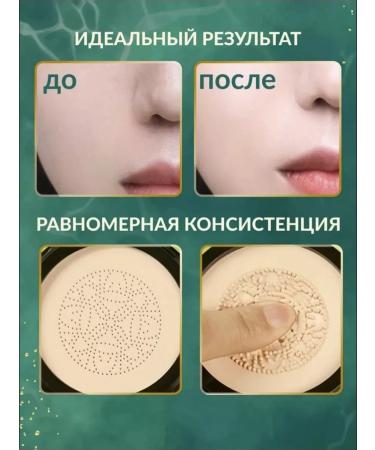 Enuka Cream-kushon tonal SS with mucin snail 02 tone - Buy Online on GoSupps.com