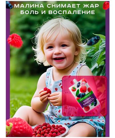 Siberian berry Ground berries Assorted Sugar Sugar 4pcs - Buy Online on GoSupps.com