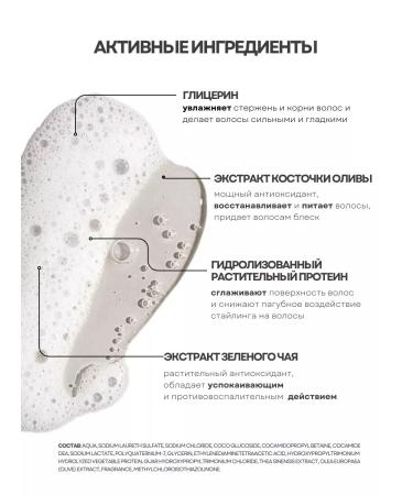 HUMAN BEAUTY EVOLUTION Male moisturizing shampoo daily 980 ml - Buy Online on GoSupps.com