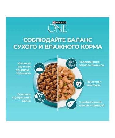 PURINA ONE Dry food for sterilized cats salmon 1.5kg 1 pcs - Buy Online on GoSupps.com