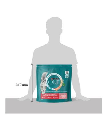 PURINA ONE Dry food for sterilized cats salmon 1.5kg 1 pcs - Buy Online on GoSupps.com