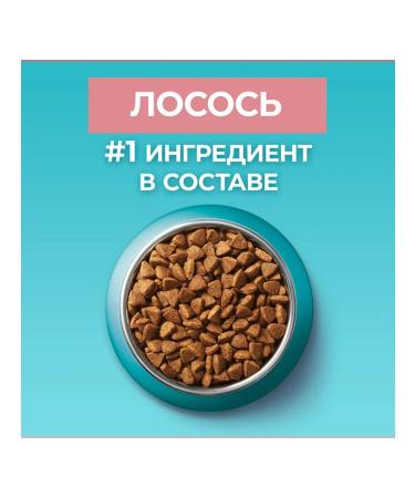 PURINA ONE Dry food for sterilized cats salmon 1.5kg 1 pcs - Buy Online on GoSupps.com