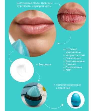 EXO EGG Lip balm moisturizing menthol-grinding - Buy Online on GoSupps.com