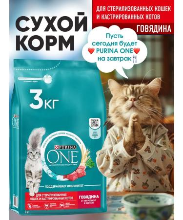 PURINA ONE Purinaone food for sterilized cats beef 3kg - Buy Online on GoSupps.com