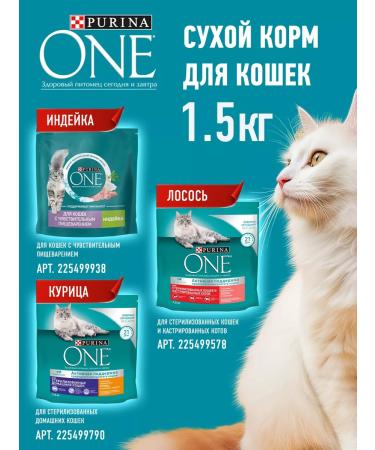 PURINA ONE Purinaone food for sterilized cats beef 3kg - Buy Online on GoSupps.com