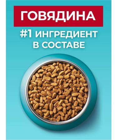 PURINA ONE Purinaone food for sterilized cats beef 3kg - Buy Online on GoSupps.com