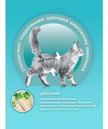 PURINA ONE Dry food for domestic cats turkey 3 kg - Buy Online on GoSupps.com