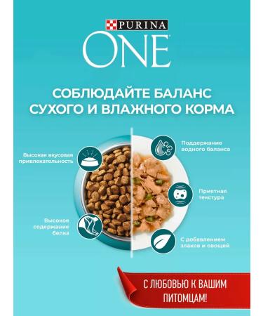 PURINA ONE Dry food for domestic cats turkey 3 kg - Buy Online on GoSupps.com
