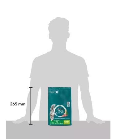 PURINA ONE Dry food for domestic cats turkey 3 kg - Buy Online on GoSupps.com
