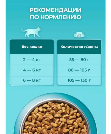 PURINA ONE Dry food for domestic cats turkey 3 kg - Buy Online on GoSupps.com
