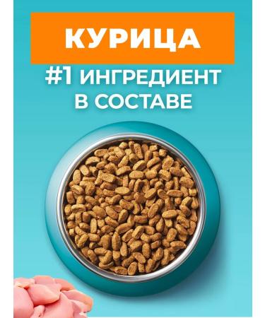 PURINA ONE Dry food of purin for sterilized cats chicken 3kg - Buy Online on GoSupps.com