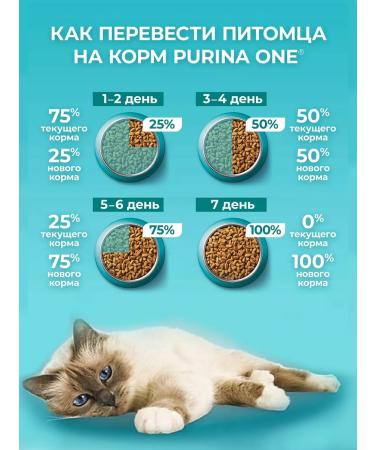PURINA ONE Dry food of purin for sterilized cats chicken 3kg - Buy Online on GoSupps.com