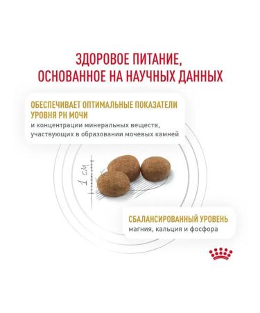 ROYAL CANIN Dry food Urinary S O for cats at ICD 7kg - Buy Online on GoSupps.com