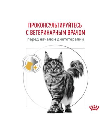 ROYAL CANIN Dry food Urinary S O for cats at ICD 7kg - Buy Online on GoSupps.com