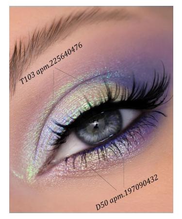 Nuage Shiny shadows of the eye of the eye t103 Mint -lifting - Buy Online on GoSupps.com