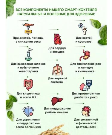 Spring of Health Oatmeal cocktail for weight loss without sugar detox drink - Buy Online on GoSupps.com