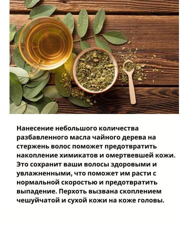 COSMO Shampoo against dandruff with tea tree oil 480ml - Buy Online on GoSupps.com