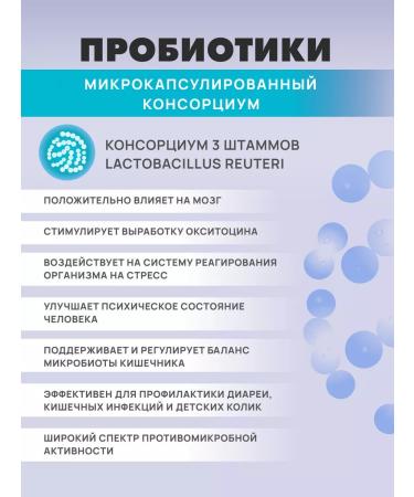 Art Life Probiotic for brain and gastrointestinal tract panbiolakt mental - Buy Online on GoSupps.com