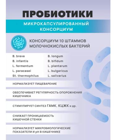 Art Life Probiotic for brain and gastrointestinal tract panbiolakt mental - Buy Online on GoSupps.com