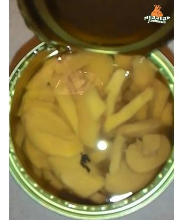 Favorite bear Cut champignons 3100ml 2pcs - Buy Online on GoSupps.com