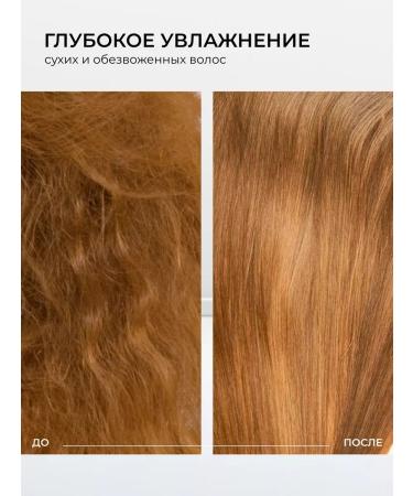 YAN&SON Shampoo and hair balm women - Buy Online on GoSupps.com
