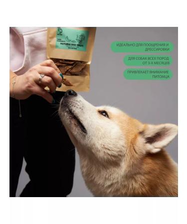 VIP DOG A treat for dogs. Pastil from a turkey - Buy Online on GoSupps.com