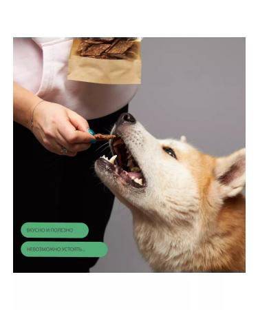 VIP DOG A treat for dogs. Pastil from a turkey - Buy Online on GoSupps.com