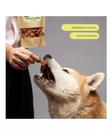 VIP DOG Dog delicacy. Slits from chicken - Buy Online on GoSupps.com