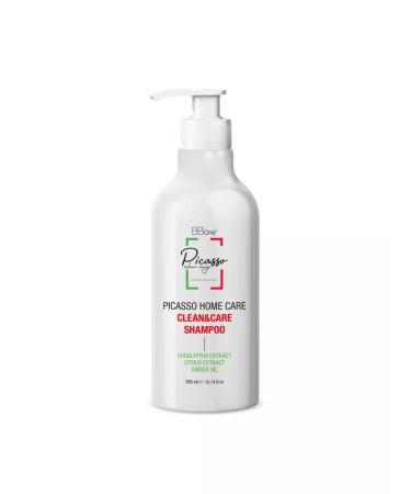 BB One Picasso Home Clean Care 300 ml