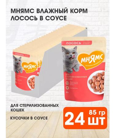 Mnyams Wet feed for sterilized salmon 85 g 24 pcs