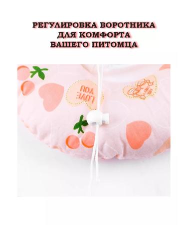 HypePet Veterinary "Cherry" collar for cats and dogs - Buy Online on GoSupps.com