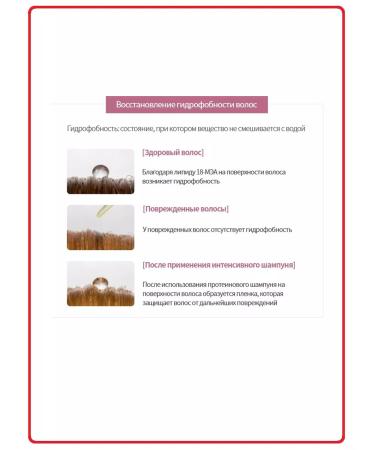 Atomy Atomi intense protein hair care set - Buy Online on GoSupps.com