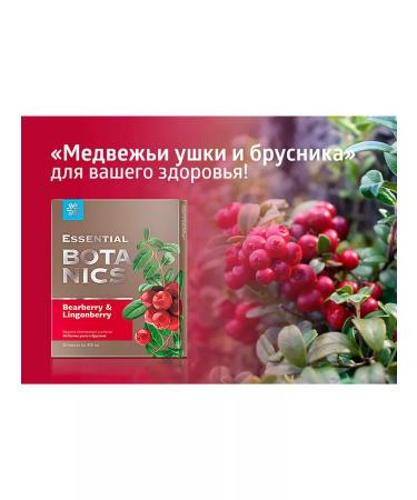 great Bear ears and lingonberry - Buy Online on GoSupps.com