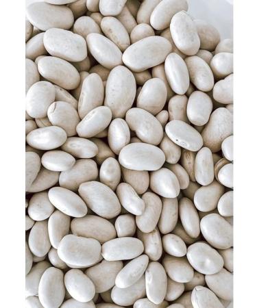 fruithouse White beans "orbit" 5kg - Buy Online on GoSupps.com